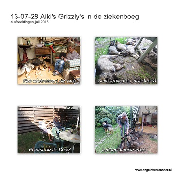 Aiki's Grizzly's in de ziekenboeg